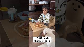 犬と子供の譲れない戦い #shorts