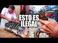 ASÍ ES EL MERCADO MÁS EXÓTICO DEL PERÚ! Lagarto, Tortugas, monos,...