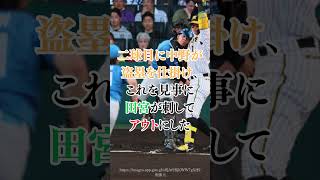 田宮裕涼がセリーグ相手にいきなりおみまいしている件