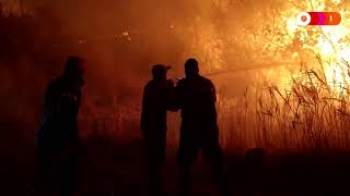 Greek firefighters battle deadly park blaze