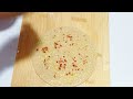 spicy ચીઝ ચિલી ગાર્લિક લચ્છા પરાઠા garlic paratha lachha paratha garlicparatharecipe