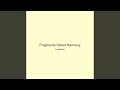 Fragments Velvet Harmony