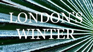 LONDON’S WINTER লন্ডনে শীতের শুরু!!