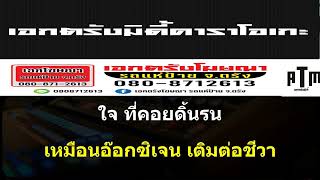 เดือนหงายที่เมืองหลวง - สายัณห์ นิรันดร [คาราโอเกะหัดร้องจ้า]