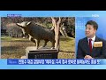 신문브리핑6