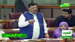 PTI Malik Karamat Ali Khokhar Complete Speech In National Assembly | 22 June 20201 | Daily Qudrat