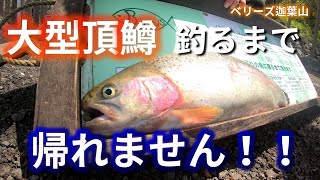 大型頂鱒、釣れない人は帰れません！全員GETなるか？　ベリーズ迦葉山　『菅釣り』【デカマス】