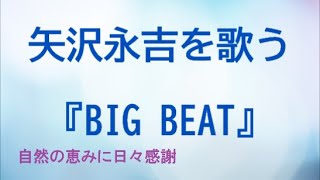 『BIG BEAT』／矢沢永吉を歌う_196　by 自然の恵みに日々感謝