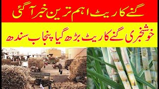 Big Good news Sugarcane rate increase punjab sindh pakistan|گنے کے ریٹس آسمان چھونے لگے تیزی ہی تیزی