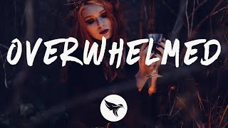 Royal & the Serpent - Overwhelmed (Lyrics)
