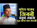 বড়পীর আব্দুল কাদের জিলানীর কারামাত | আল্লামা নুরে বাংলা আল কাদেরী | allama nure bangla al kaderi