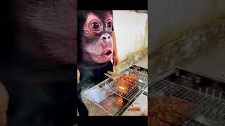 Chimpanzee Blowing Barbeque 😆