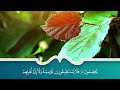 سور الرزق والبركة سورة يس الرحمن الواقعة الملك بصوت الشيخ سعد الغامدي