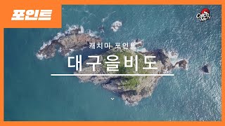 바다낚시 포인트 - 대구을비도 갯바위 낚시 포인트