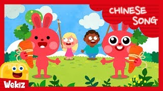 睡觉的兔子 | Sleeping Bunnies  | Wekiz Nursery Rhymes \u0026 Songs For Children