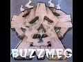 buzzmeg intro