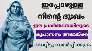 കൃപാസനം അമ്മ നിന്റെ പ്രാർത്ഥന കേൾക്കും 🙏       03/01/25 #kripasanam  #kreupasanam #കൃപാസനം