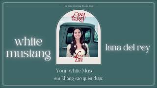 Vietsub - Lyrics || White Mustang - Lana Del Rey