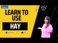 Spanish Lesson 14 : Learn to use HAY in Spanish (There is, There are)