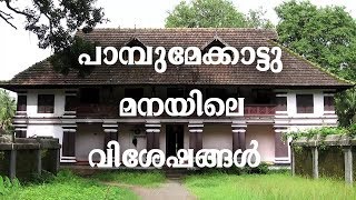 Pambumekkat Mana പാമ്പ് മേക്കാട്  മന