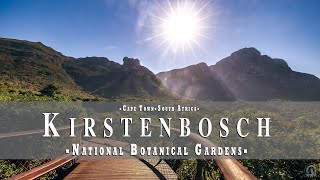 Kirstenbosch Botanical Gardens – Visit Cape Town South Africa – VLOG and TRAVEL TIPS