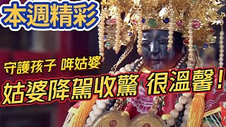 大家的姑婆～當地小孩都愛祂！哖姑婆守護村莊主人翁！｜本週精彩｜寶島神很大online