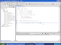 What are instance variables