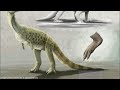 shuvosauridae the dinosaur look alikes