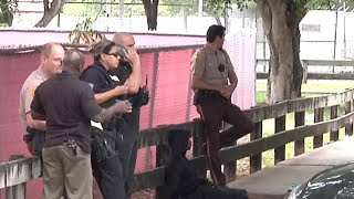 Miami-Dade police searches for robber