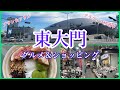 【アラフィフ韓国旅行vlog⑧】東大門でオススメ❣️グリークヨーグルト/東大門靴卸市場/ローカルショッピング