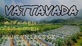 VATTAVADA AGRICULTURE VILLAGE|Vattavada Fruit village of kerala |വട്ടവട യാത്ര കാഴ്ചകളും വിശേഷങ്ങളും