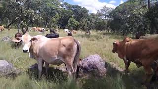 Confidence in farming