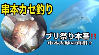 串本カセ釣り　ブリ祭り本番‼︎