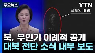 '무인기에 평양 뚫렸다'...북, 주민들에 이례적 공개 / YTN