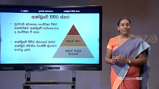 ආණ්ඩුවේ විවිධ ස්තර 01 (2 පාඩම)  - 11 ශ්‍රේණිය (පුරවැසි අධ්‍යාපනය)