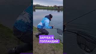 #fishing #youtubeshorts #youtube #youtuber #рыбалка #рек