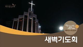 2025-01-23 (목)ㅣ대구동신교회 새벽기도회ㅣ여호수아 15:1-19ㅣ정찬영 목사