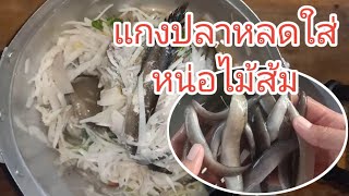 แกงปลาหลดใส่หน่อไม้ส้ม by ตามฮอยอีสาน อาหารพื้นบ้าน