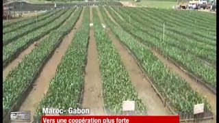 Maroc-Gabon: un partenariat économique exemplaire