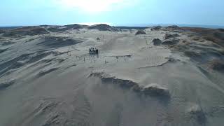 Nerija - Mirusios kopos, Curonian Spit - Grey dunes