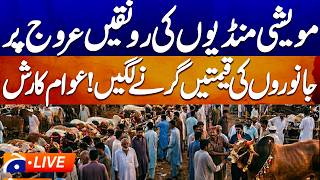 🔴LIVE: Eid-ul-Adha 2026 Preparations | Latest Cattle Market Updates