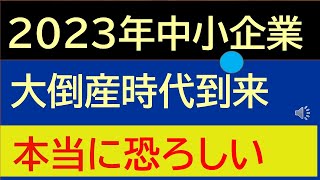 【大倒産時代到来】  物価高とゼロゼロ融資返済開始で中小企業は悲鳴　データ紹介