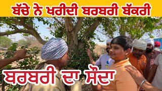 ਬੱਚੇ ਨੇ ਖਰੀਦੀ ਬਰਬਰੀ ਬੱਕਰੀ | Tungwali bakra mandi | #goat #bakramandi