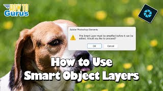 Photoshop Elements Tutorials for Beginners How to Use Smart Object Layers