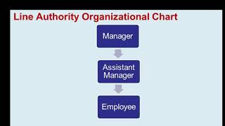 (1303 c) Organizing: Line Authority vs. Staff Authority