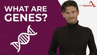 What are genes? How genes shape our lives and what happens when they are defective