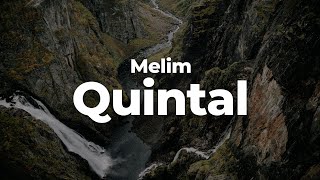 Melim - Quintal (Letra/Lyrics) | Official Music Video