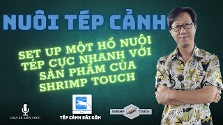 2025 - Cách set up hồ nuôi tép thần tốc mà cực kì đơn giản với sản phẩm Shrimp Touch