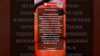 Польза хурмы #здоровье #медицина #здоровьечеловека #польза #хурма #курма #shorts #short