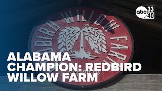 Alabama Champion: Redbird Willow Farm